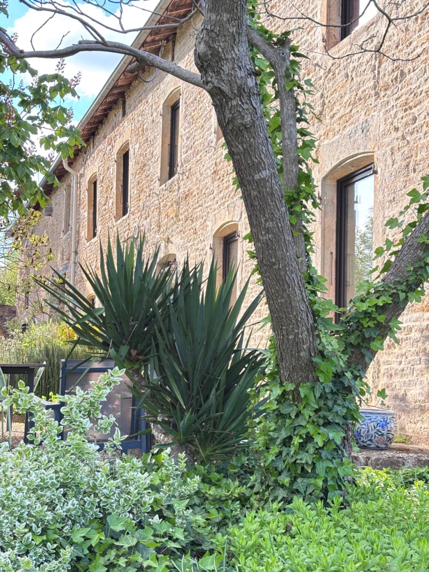 Domaine Du Vernay Mazille Εξωτερικό φωτογραφία